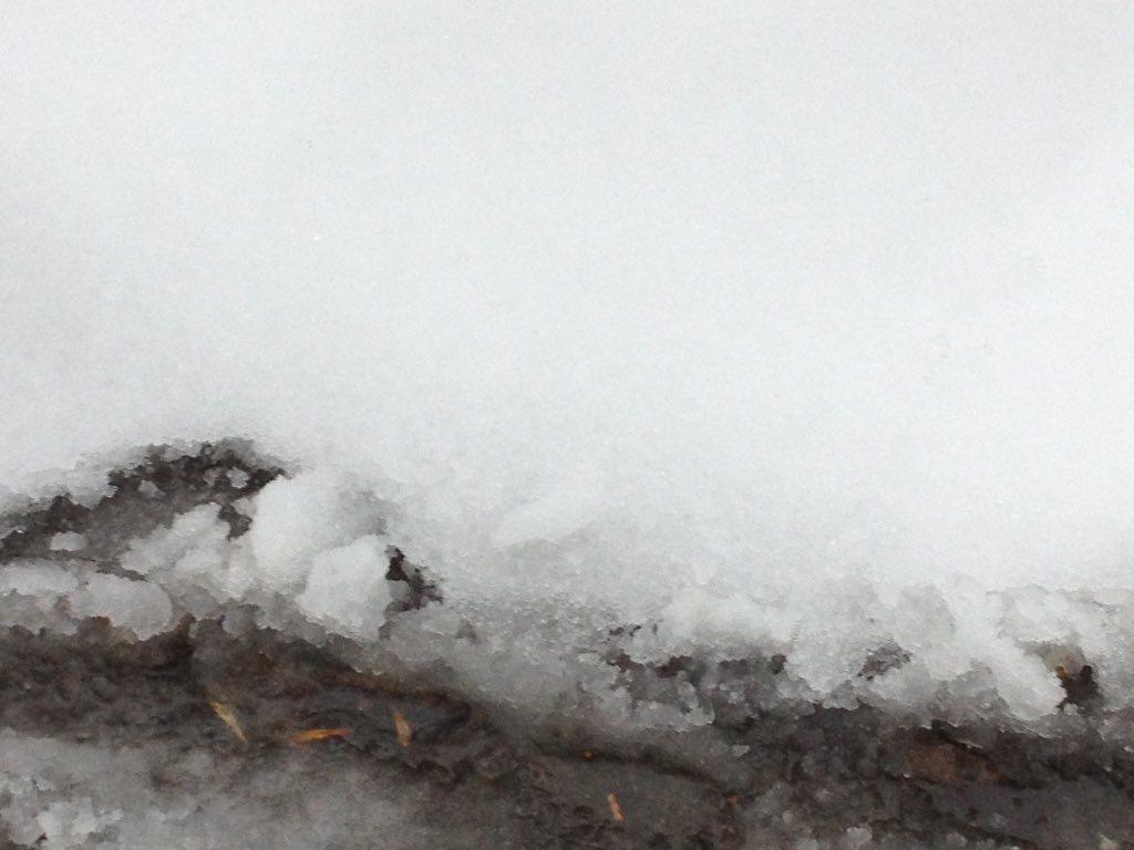 peaceful336's tweet photo. Anyone like Slush? We have a lot in Montreal !βοΈβοΈ What a #SlushyDay π§π https://t.co/1YOSkwCs9r
