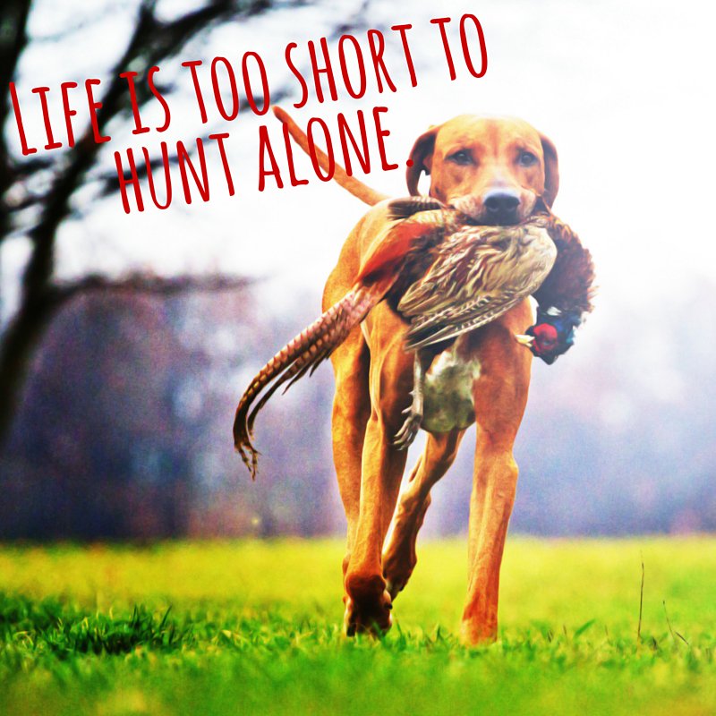 Hunting is a team sport. #Hunting #Heybo #HeyboSouthern