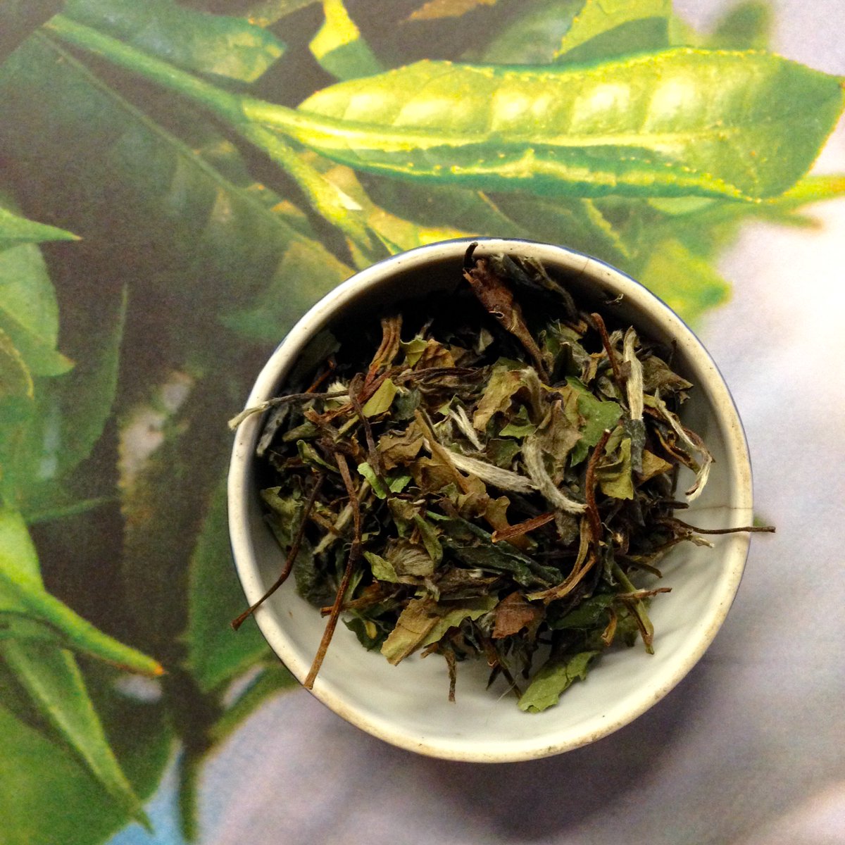 vracteashop's tweet image. New teas added to the online shop! With dreamy exotic pics to light up dull February... vractea.co.uk