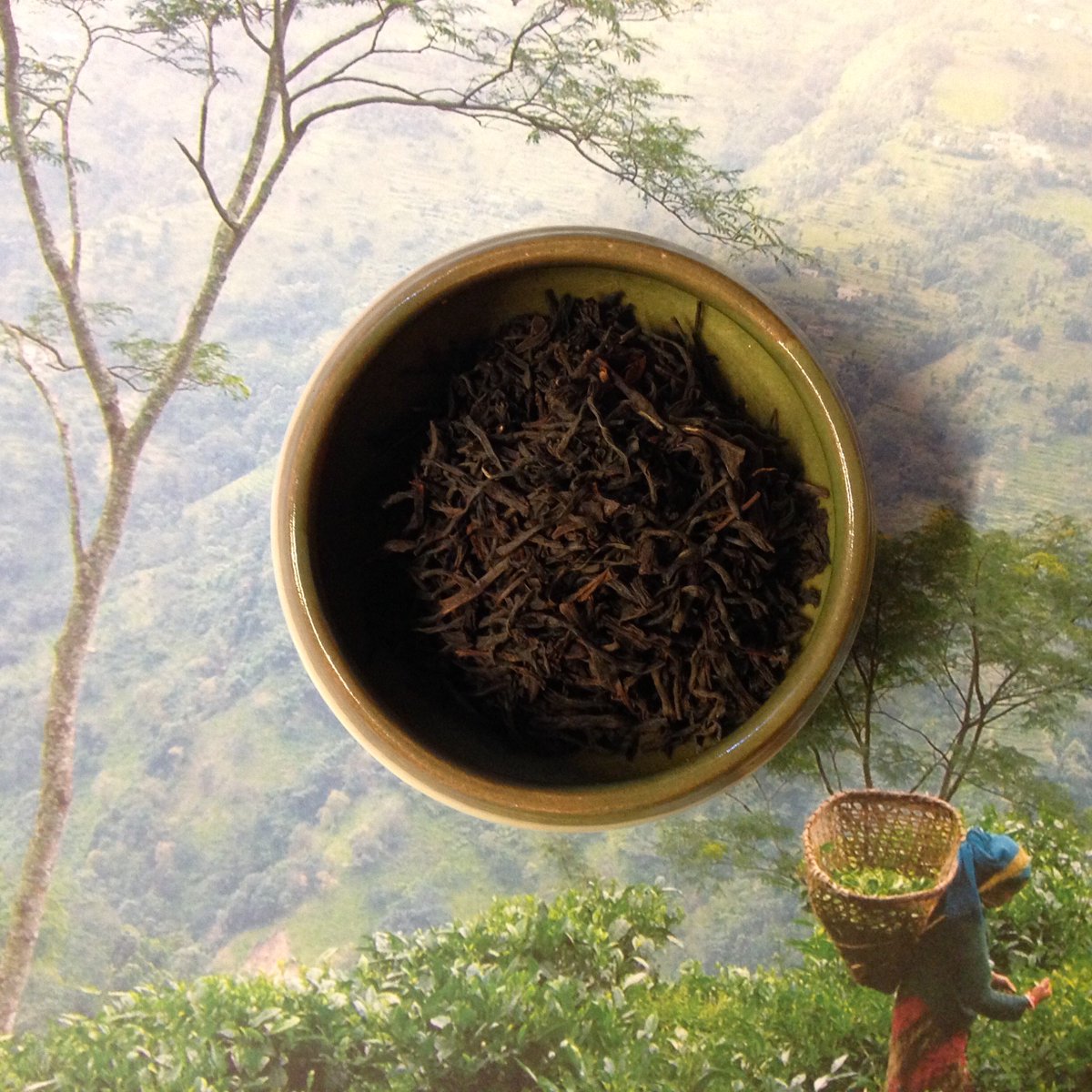 vracteashop's tweet image. New teas added to the online shop! With dreamy exotic pics to light up dull February... vractea.co.uk