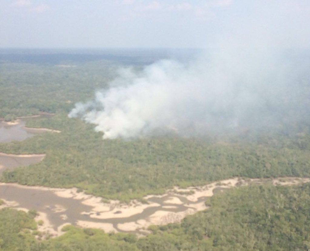 dvortega's tweet photo. Ahora en inspección a  Cuyabeno por incendio. Casi 2 meses sin lluvias, ríos/lagunas secos. El Niño #cambioclimático https://t.co/489mwKCTDa