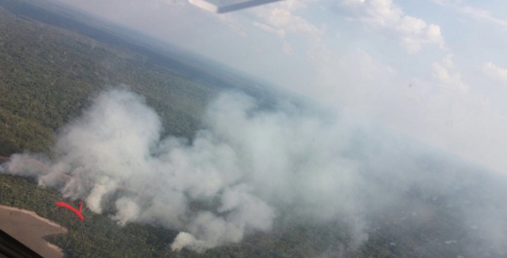 dvortega's tweet photo. Ahora en inspección a  Cuyabeno por incendio. Casi 2 meses sin lluvias, ríos/lagunas secos. El Niño #cambioclimático https://t.co/489mwKCTDa