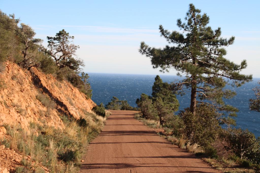 #Randonnée #Esterel ce jour du côté du #RocherdeSaintBarthelemy au #CapRoux 😉
#VisitEsterel @EsterelCoteAzur