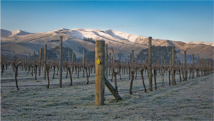 MMDUK's tweet photo. The stunning Dillons Point Vineyard @Rapaurasprings @nzwine #MMDis30 https://t.co/xHFYknE69j
