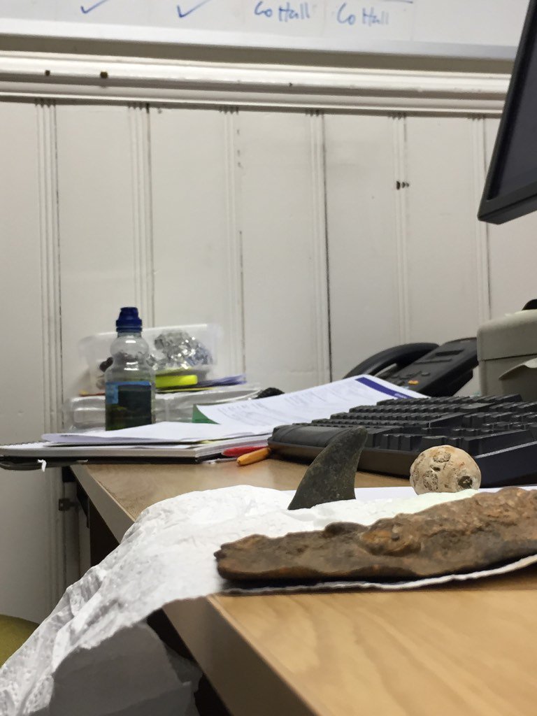 NMSCollMan's tweet photo. We spy a small desk shark in the office today. @NatHistNMS #behindthescenes #MuseumDocumentaion https://t.co/TiMJHYIMER