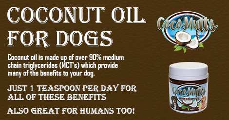 CocoMuttsOil's tweet photo. Some of the uses and benefits of virgin coconut oil for dogs
https://t.co/zGFweseEW9 https://t.co/CGJY9n2xrd