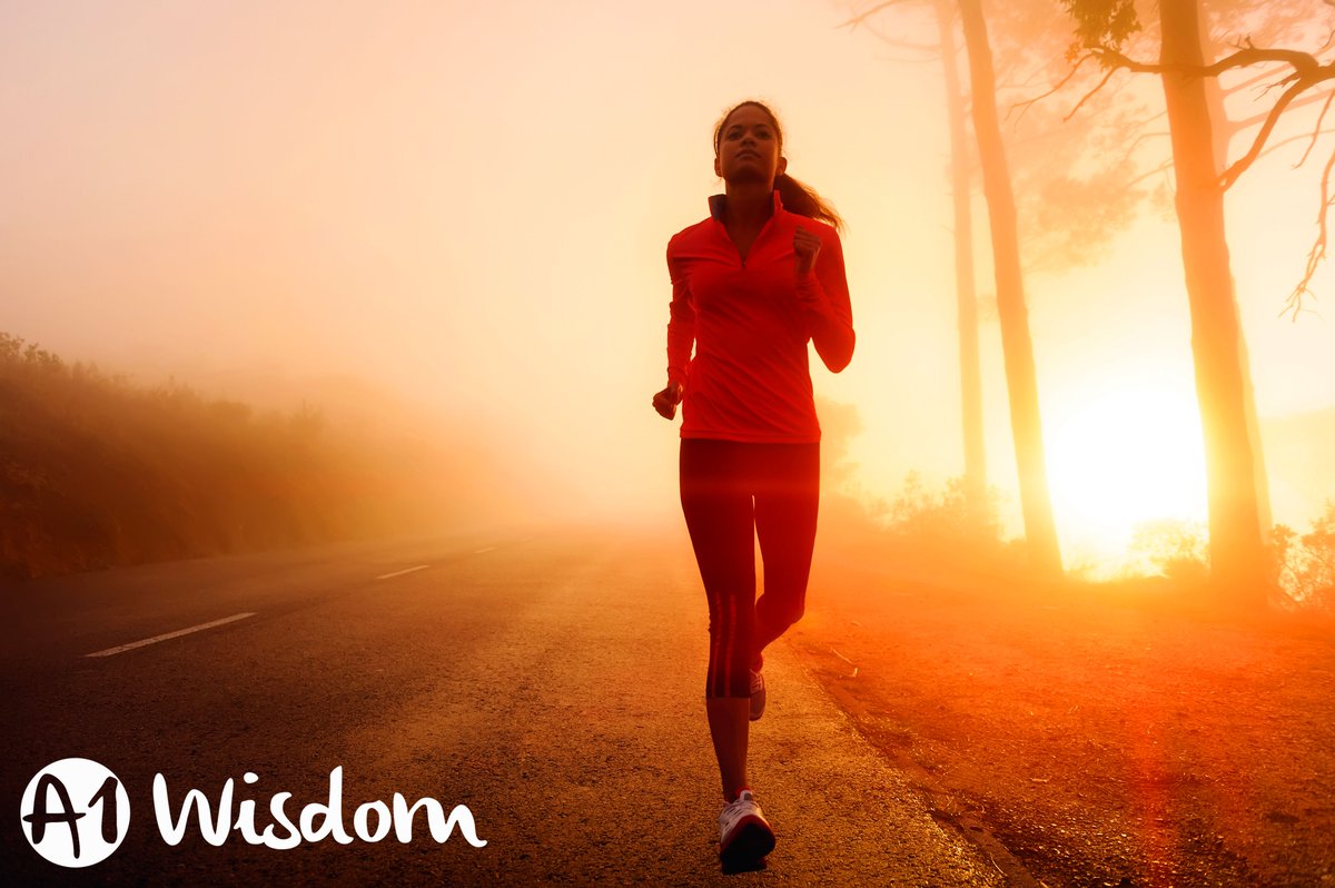 A1wisdom Sport tweet media