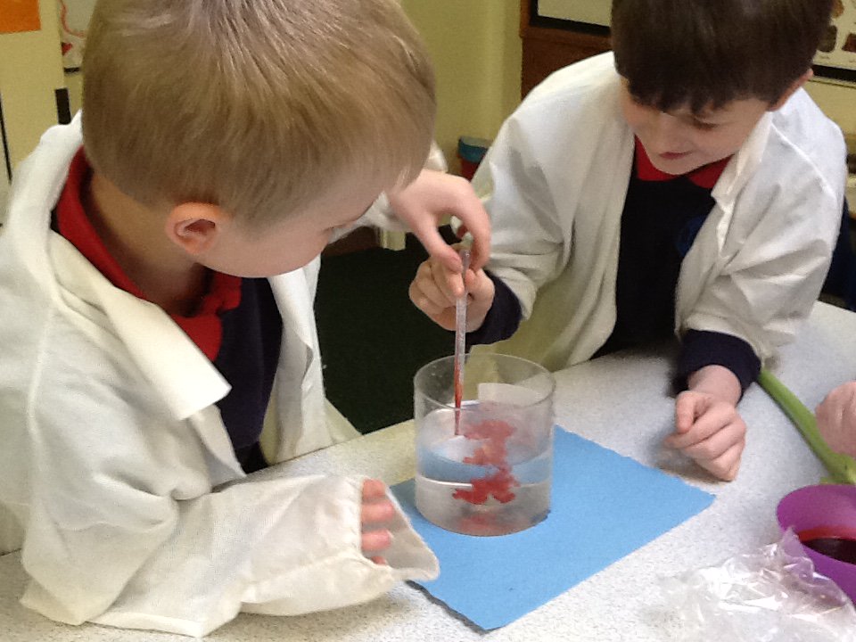 Anston Brook on Twitter "Our Year 3 scientists had fun investigating