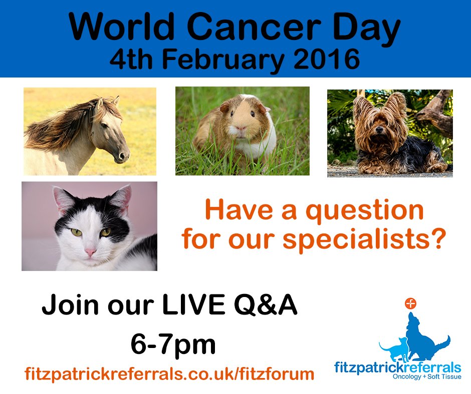 Fitzpatrick Referrals tweet media