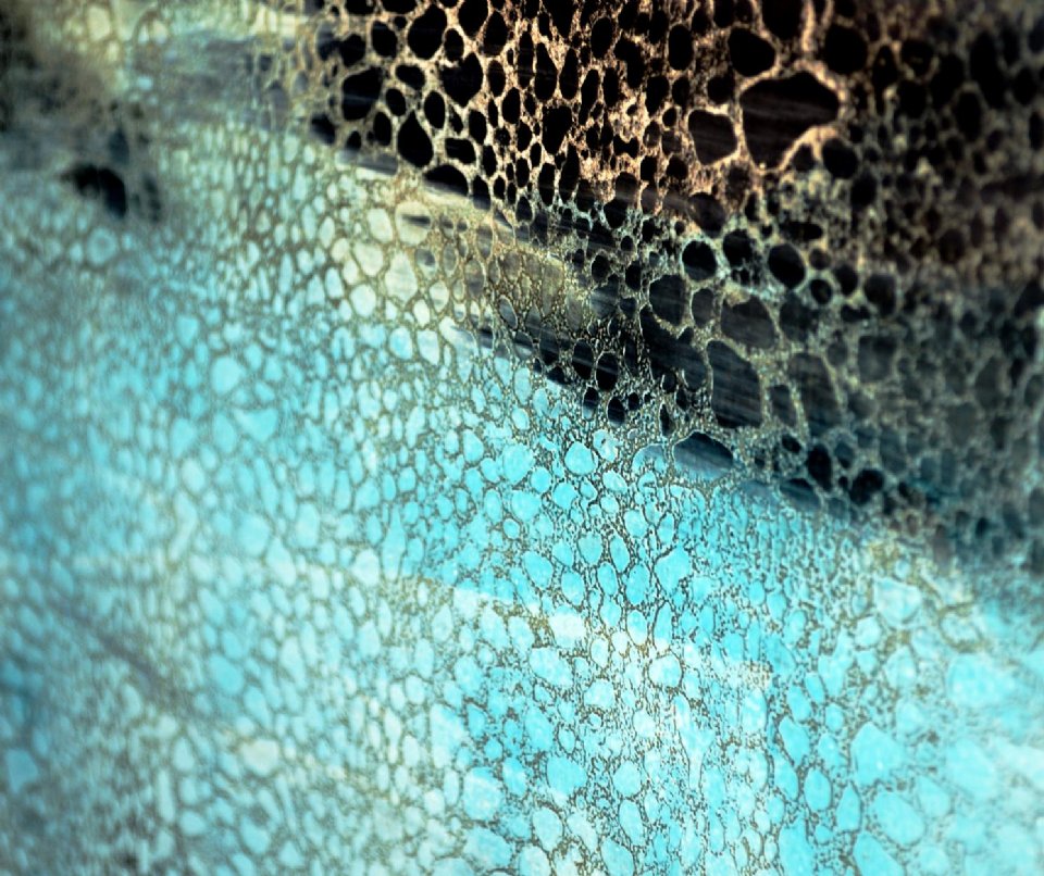 Venetian Interiors tweet media