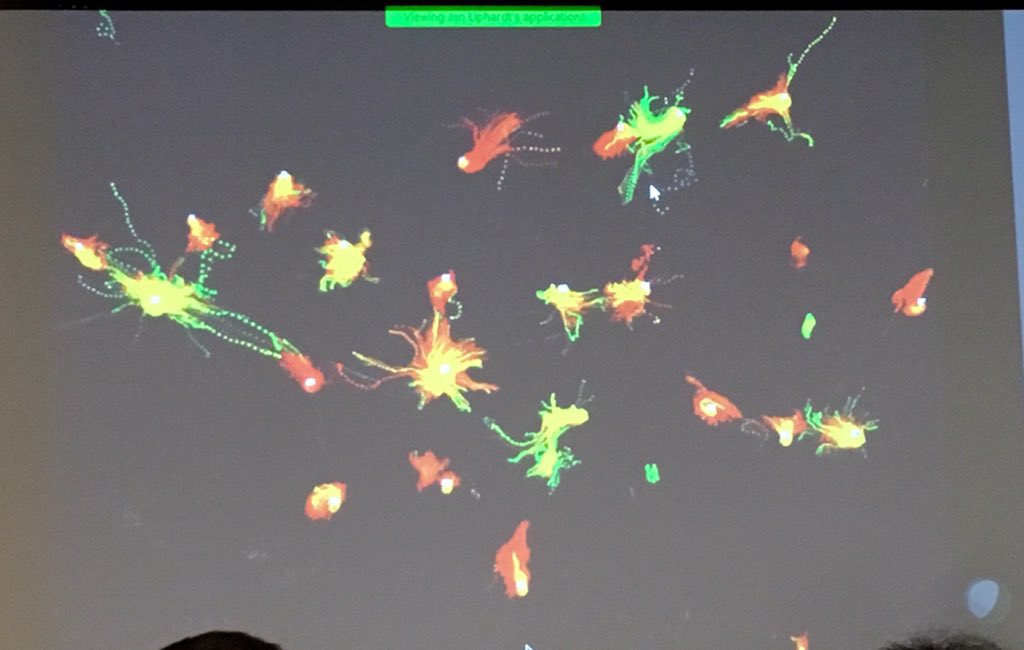 ara_anderson's tweet photo. Liphardt shows a cool image of a time collapsed movie of organoids moving & interacting #PSON2016 https://t.co/cQyrDkF33i