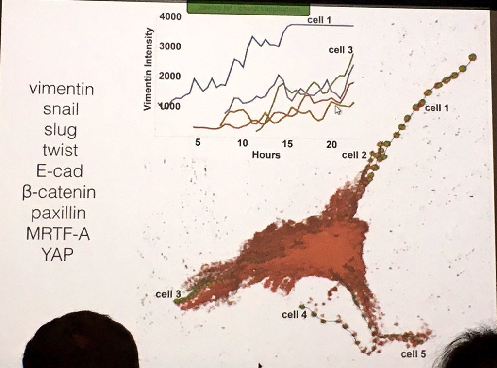 ara_anderson's tweet photo. Liphardt shows a cool image of a time collapsed movie of organoids moving & interacting #PSON2016 https://t.co/cQyrDkF33i