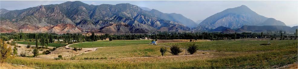 Building the high tunnels for february-march harvest ! #spargel #asparagus #asperges #kuşkonmaz #アスパラガス