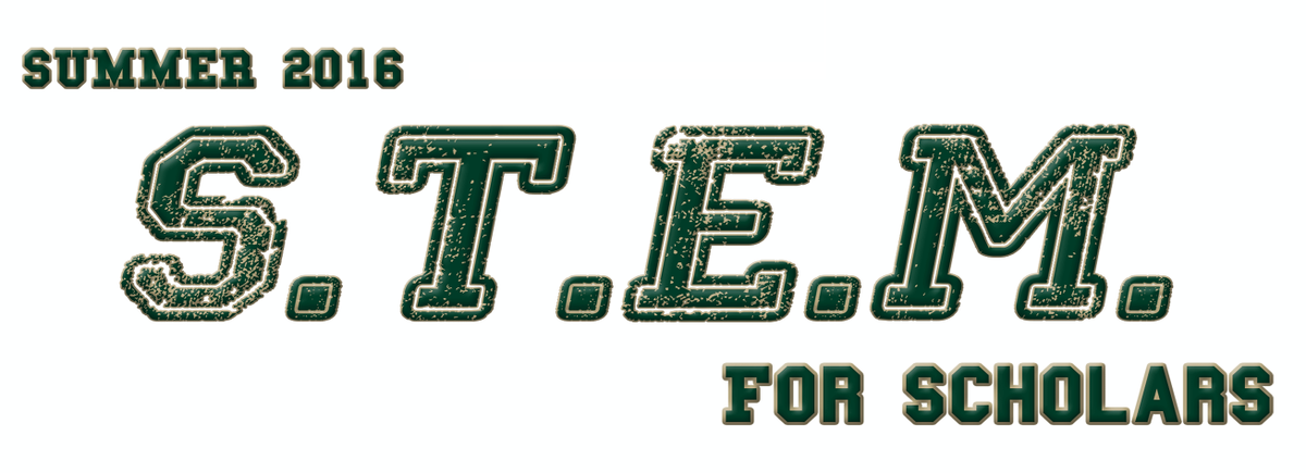 USF STEM tweet media