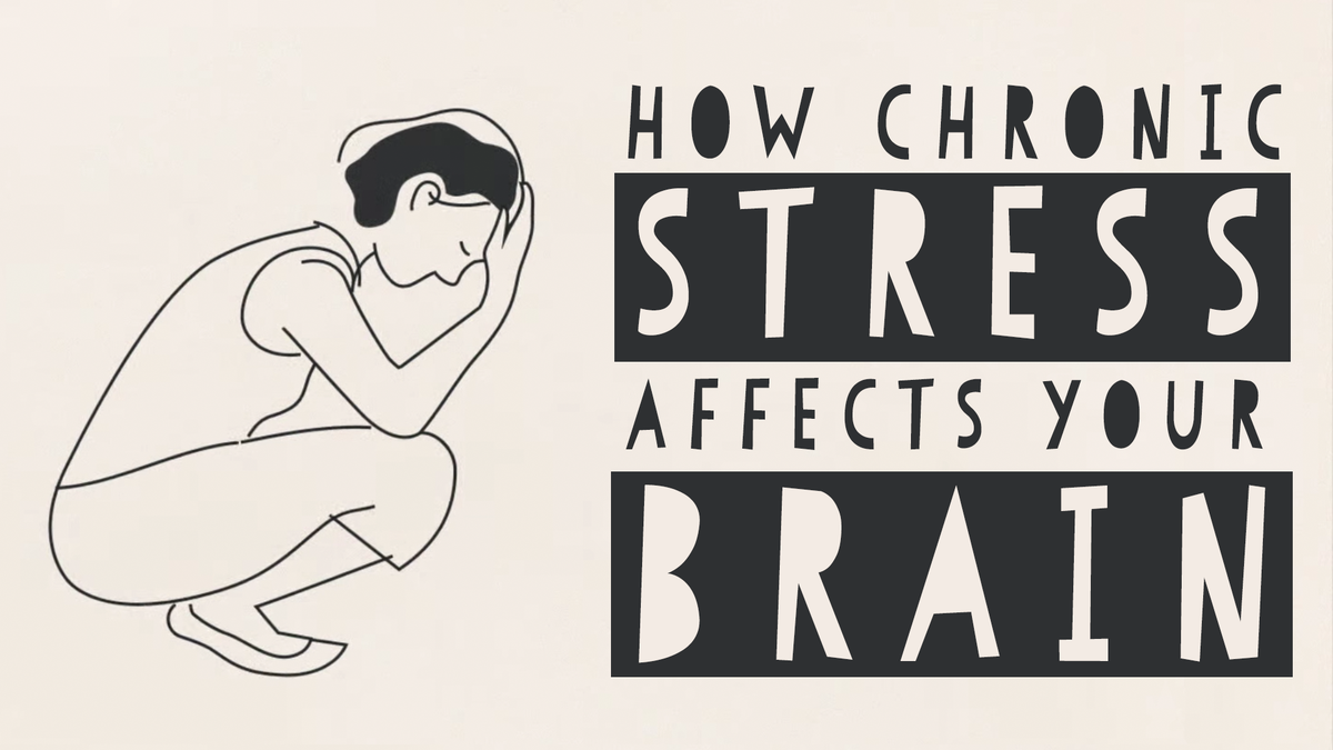 TED_ED's tweet photo. How chronic stress can affect the brain's size, structure, and how it functions: https://t.co/UKHR1g3oxE https://t.co/bAi1yWcUSo