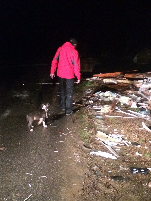 Alabamas_42's tweet photo. Did you lose a furry friend in yesterday's storms? We'd love to talk with you! Tweet us or @pealleman. https://t.co/27FSQGIwBW