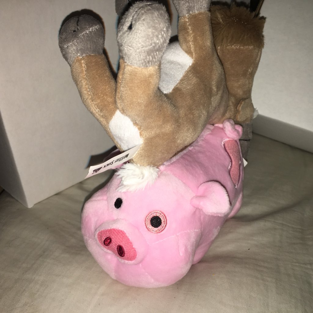 TheMysteryofGF's tweet image. #Wompers