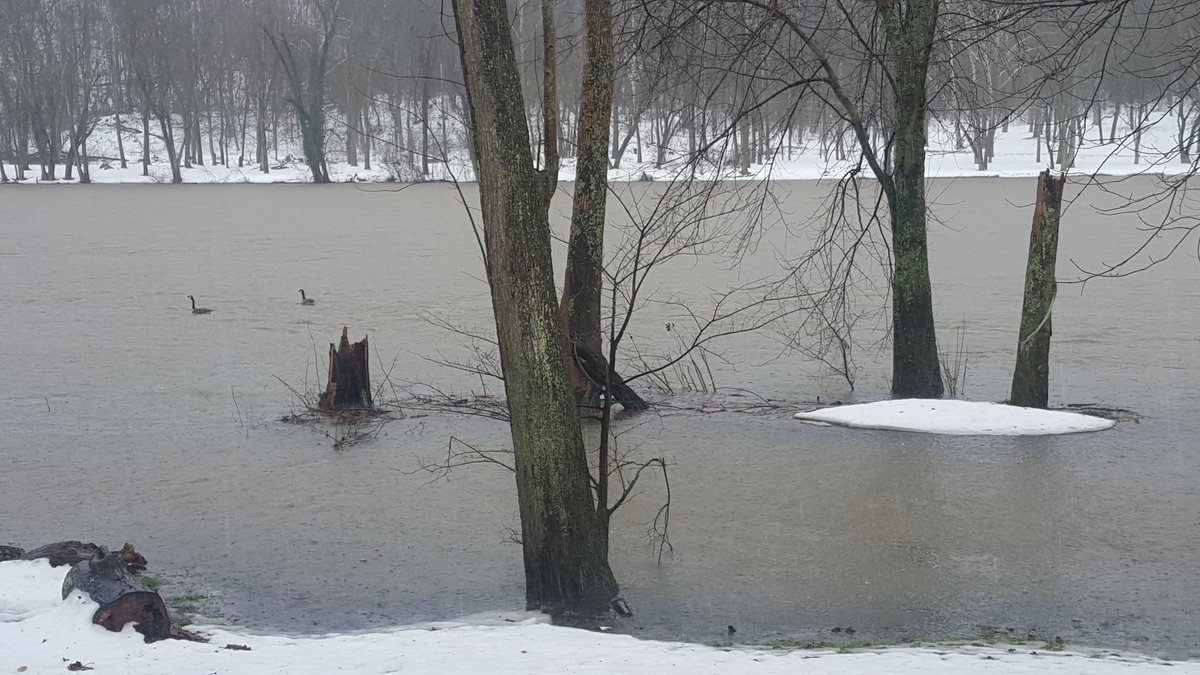 mrsmarymac20's tweet photo. Water rising at Shenandoah River along Bloomery Rd. Jefferson County under flood warning. @TheJournalWV @JCHSEM #wx https://t.co/QoyELf3HMT