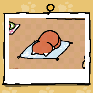 nikkbrett's tweet image. #ねこあつめ  #virtualcat 

Ginger are you okay