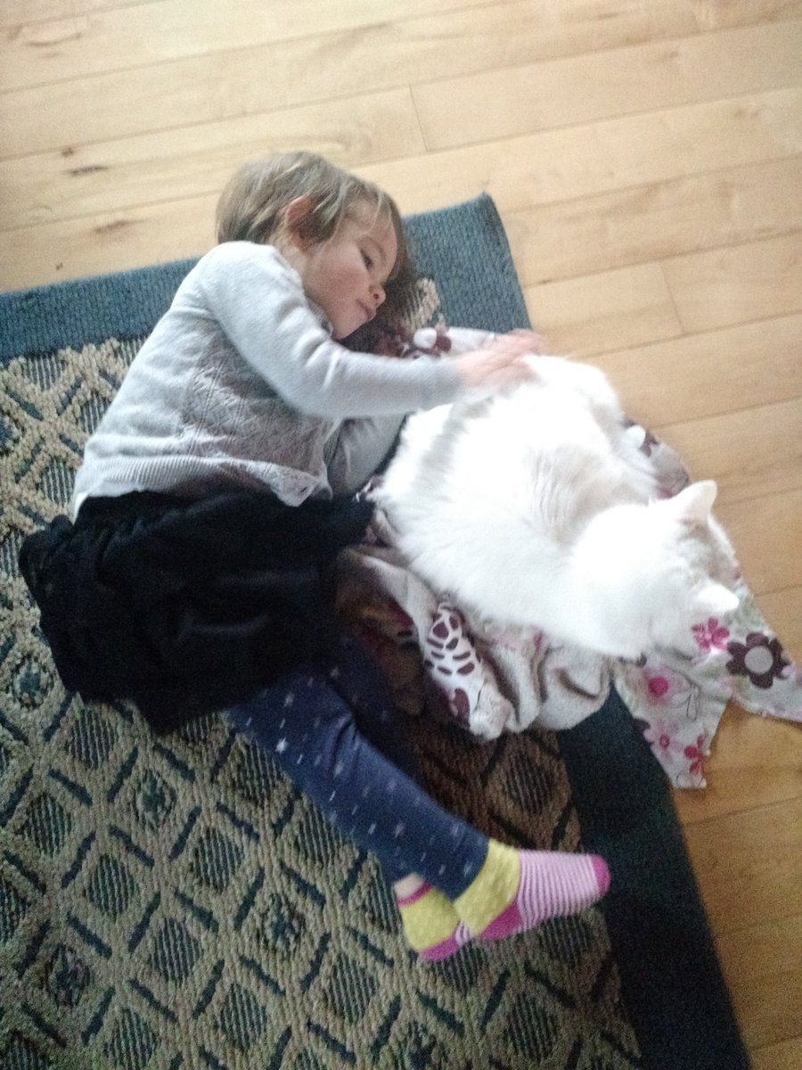 MaryECNeff's tweet image. It's definitely that kind of day!