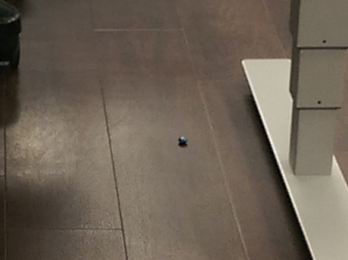 I'm trying to convince my coworker to go to lunch so I can eat the skittle under his desk