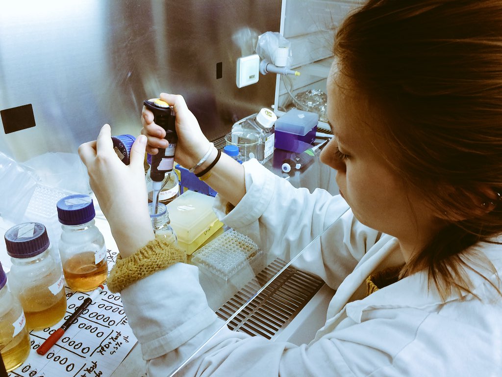 BiosensorsFDV's tweet photo. In the middle of #project searching for #breakthrough @licencefdv @criparis #biosensorsFDV #LTR #undergrad #research https://t.co/nAlBYoHtQM