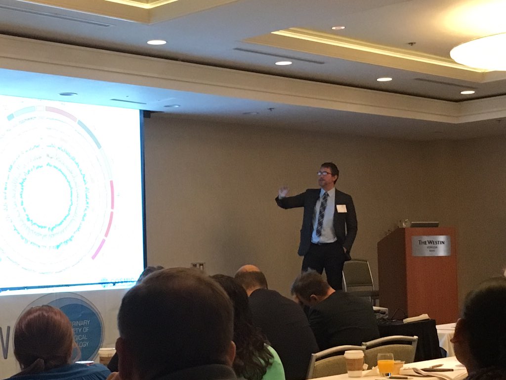 Jolle Kirpensteijn tweet media