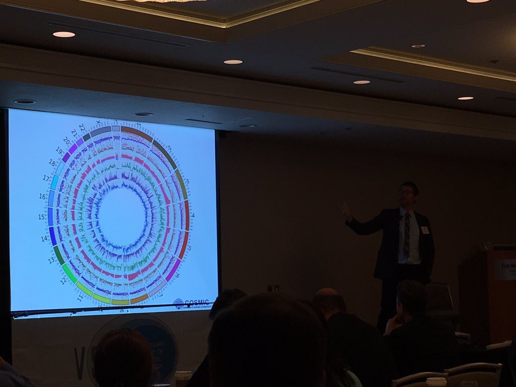 Jolle Kirpensteijn tweet media