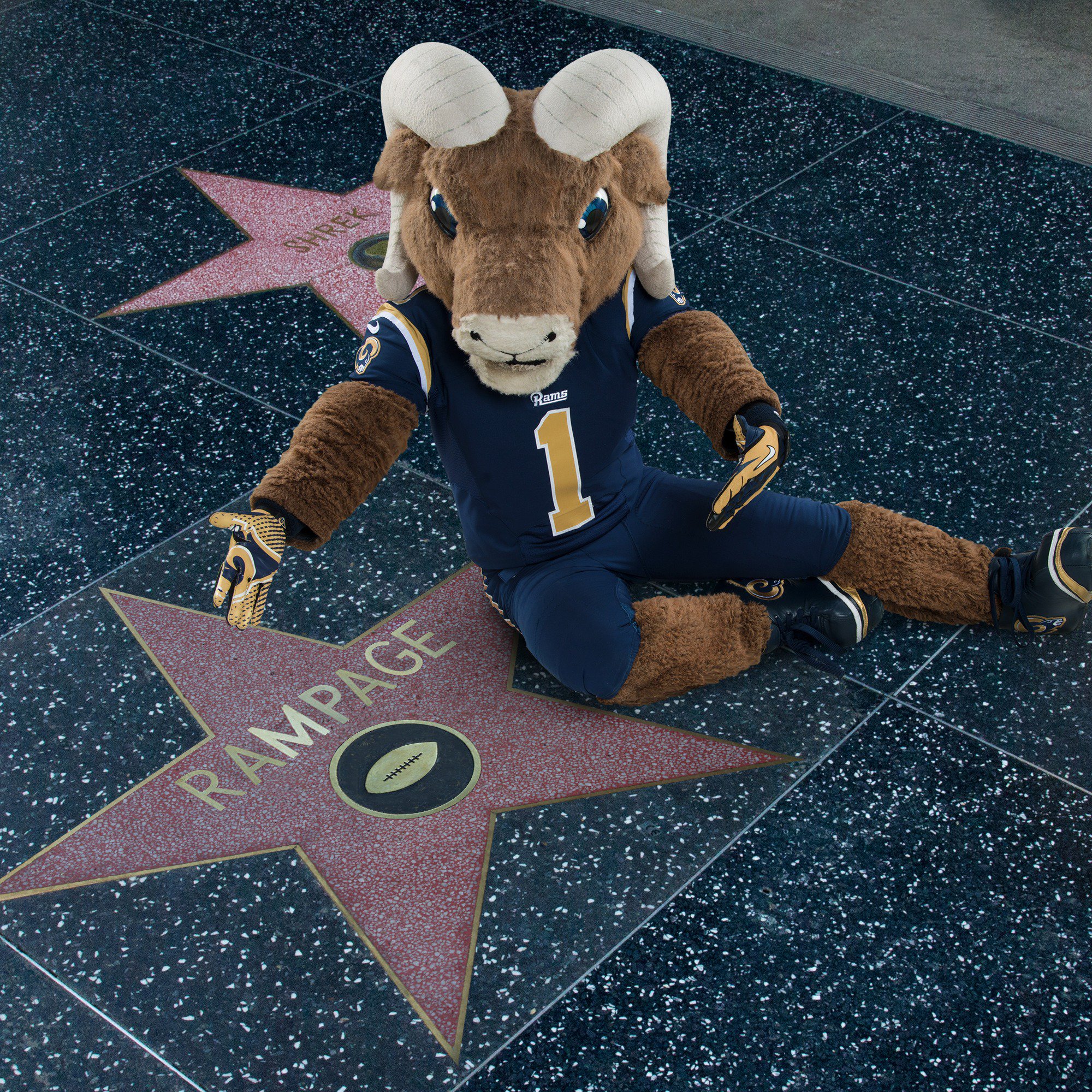 Los Angeles Rams on X: Looks like @RampageNFL has left his mark!  #RampageinLA  / X