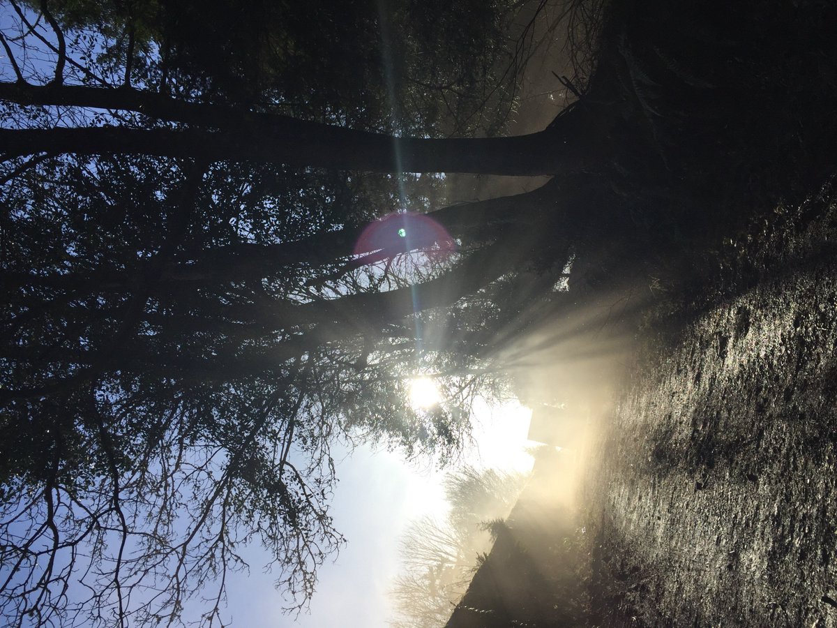 ALO_Modelling's tweet image. What an absolutely gorgeous day its been on set! 😍☀️ #scotland #Outlander #work #scottish