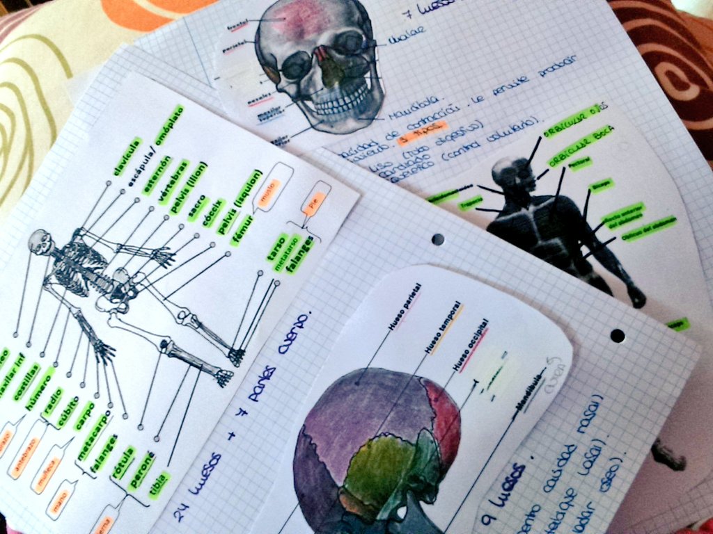 Yaiza_NQ's tweet photo. Anatomía 💪💪 https://t.co/G3xuPS4xhf