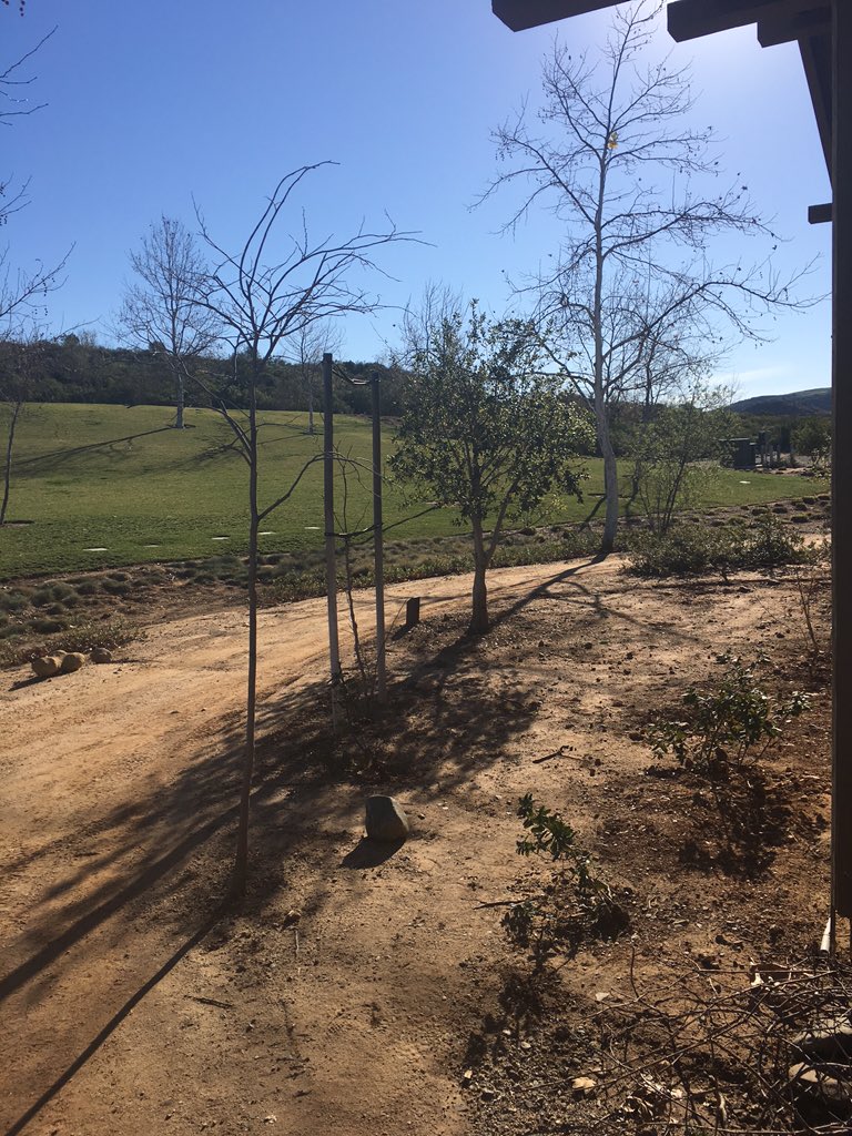 kristinhartloff's tweet photo. Not a bad view at work today - #NGSS discussion at #irvinepark @TUSDSTEM #ocscience https://t.co/njENQrIh6x
