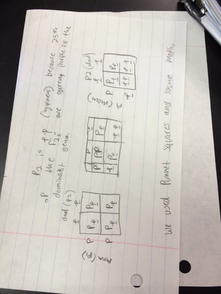 Baileem_lhs's tweet photo. Group project with Anna, William, and Savonni #ballhr4 #lhsgenetics https://t.co/nXAm7GVRVM
