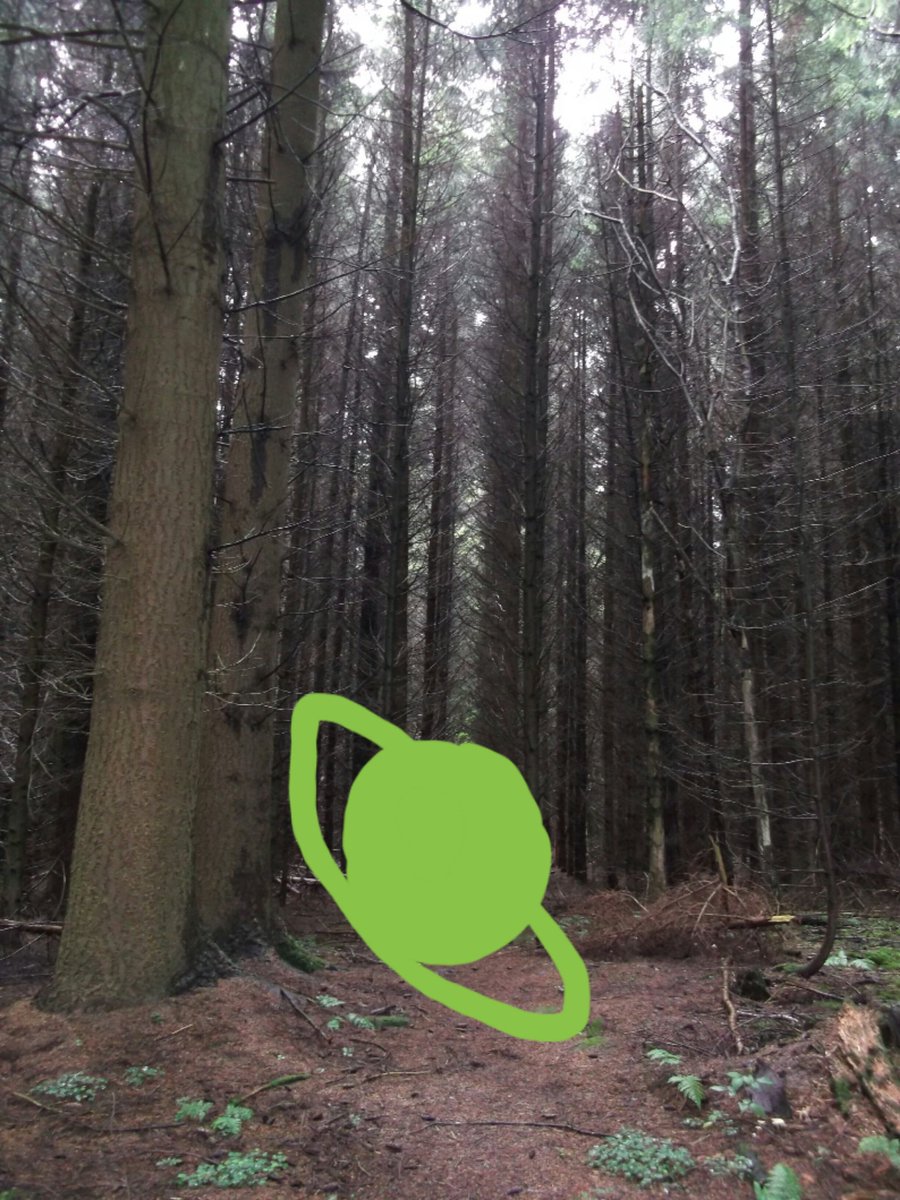 FunkyAppleTree's tweet photo. Here are those trees. @Gizmodo That's me in the green hiking gear. I was out of this world!
#Treemetrics #space https://t.co/EULU4Ub7eP