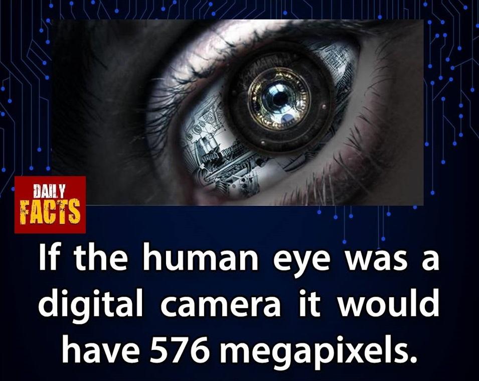 ibalasenthil's tweet photo. Every #Human having #576MegaPixels , then why you searching just
#20MegaPixels Phones :) https://t.co/XI2WpOdCYD