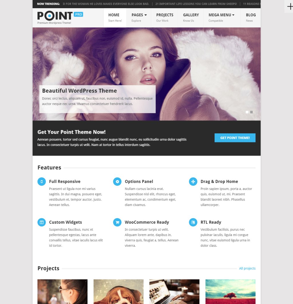 JonFelty's tweet image. PointPro bestwordpressthemes.com/pointpro/