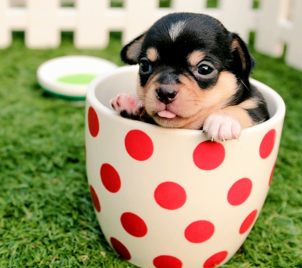 Srinivas vunnava 143 (@143vunnava) on Twitter photo 