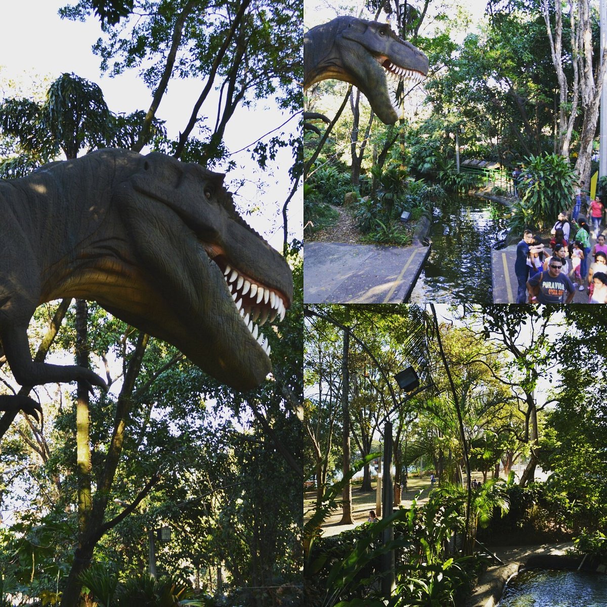 Nuestro súper #TiranosaurioRex, te espera para disfrutar de este maravilloso y soleado día.
