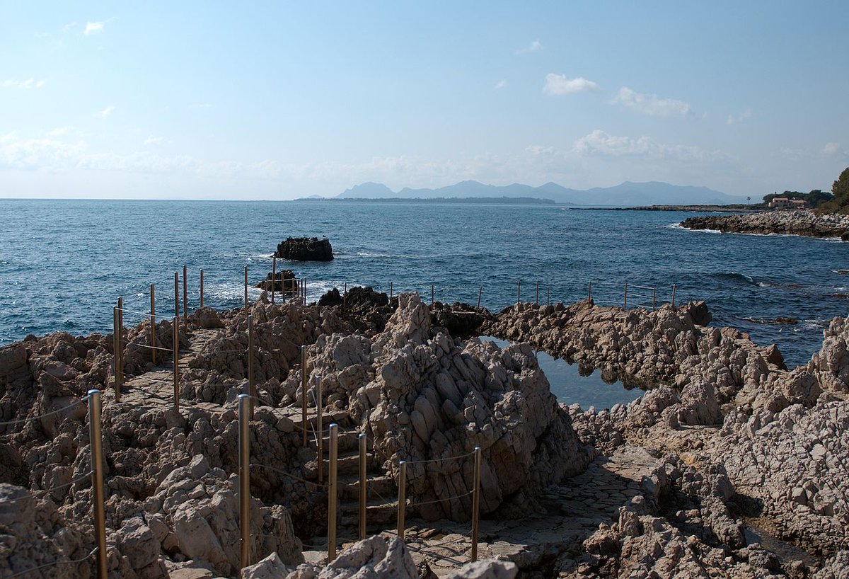 bluewatercafe's tweet photo. A1 "In Cap d’Antibes, we would go snorkelling for sea urchins &amp; sea figs btwn shifts." 1/3 #UnsungChat https://t.co/tHTlRvyhnq