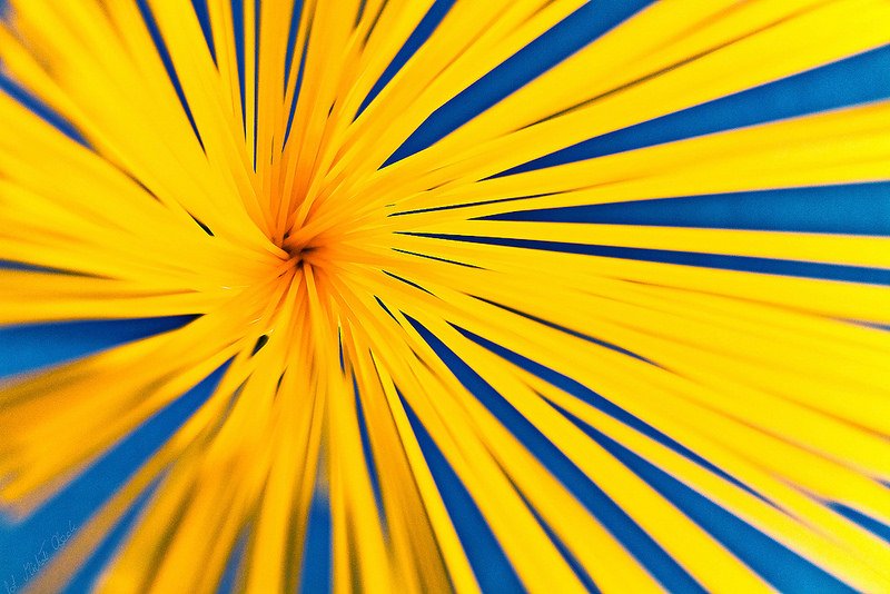 Flickr's tweet photo. Check out our favorite photos of the theme Blue & Yellow from the #CatchyColors Group https://t.co/WCqZzp4Ecs https://t.co/bC7JnevqeS