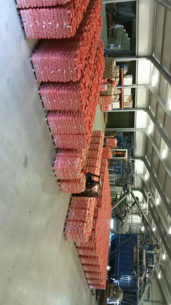 LarsKaim's tweet image. We zijn lekker bezig in de #uien #bpeen  van 5tot25kg geen probleem #franzenlandbouw vers en gezond uit eigen grond!