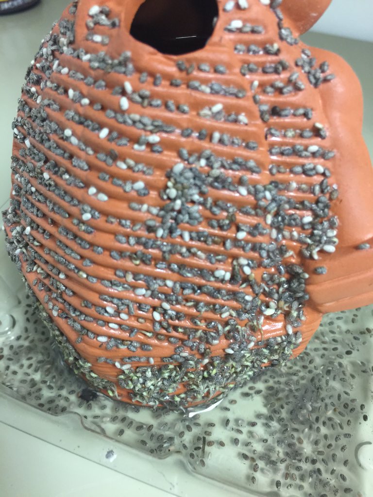 Psh, <a href="/andybaker45/">Andy Baker</a> tried to kill me off. I guess I win the #AndyBaker thread on <a href="/CD_problems/">ChiefDelphi Problems</a> chiefdelphi.com/forums/showthr…