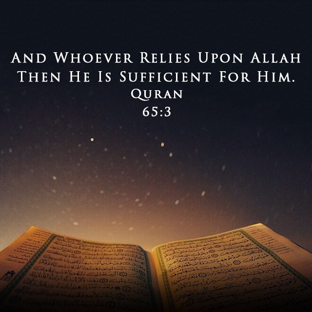 Junaid Ali tweet media