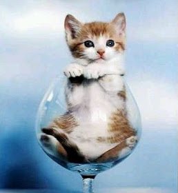 Rox3y6's tweet photo. #MiercolesDeGanarSeguidores 
#SigoATodos 😉
#NoDejo 😉 https://t.co/zbjMO4HRBB