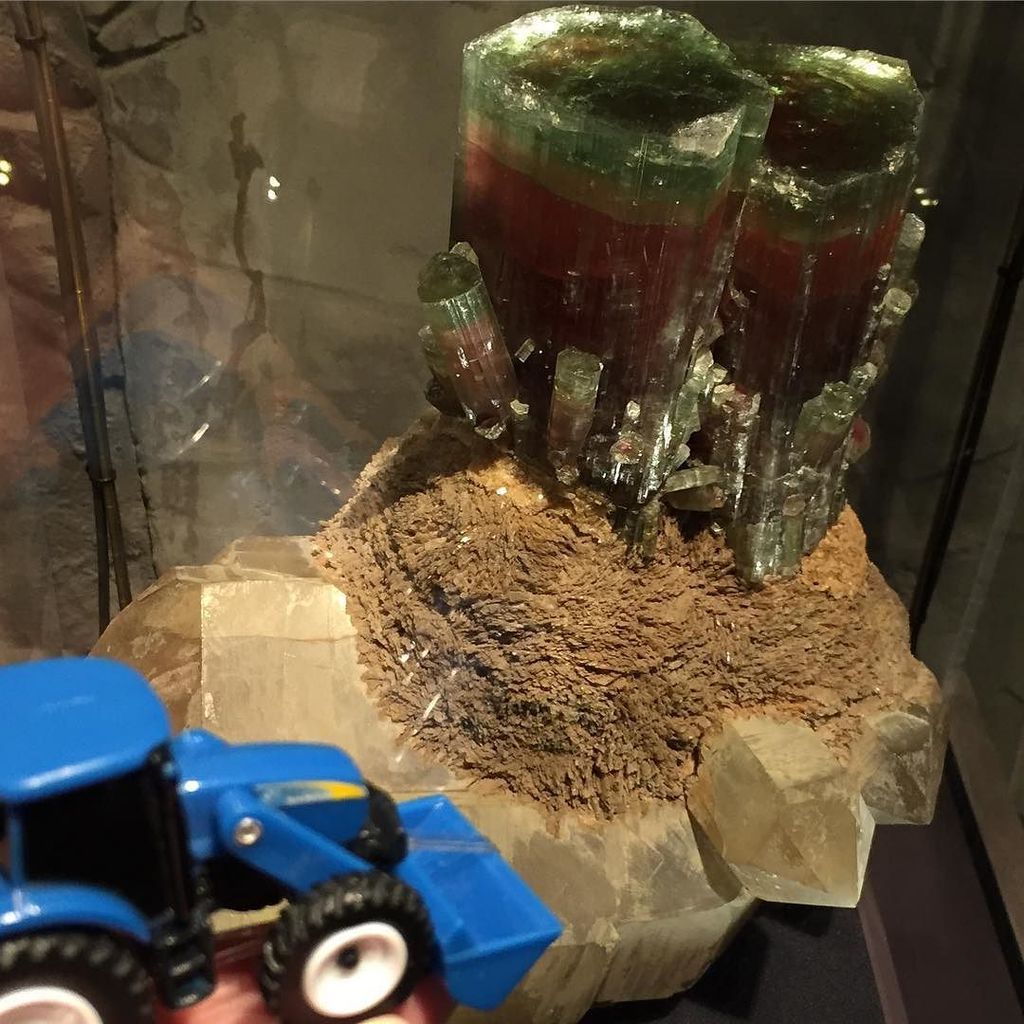 Latzke's tweet photo. #TinyTractor dreams of sparklies. He's really very hip that way. #naturalhistorymuseum https://t.co/ZinlZ6aqFy https://t.co/0mFMCgGBS5