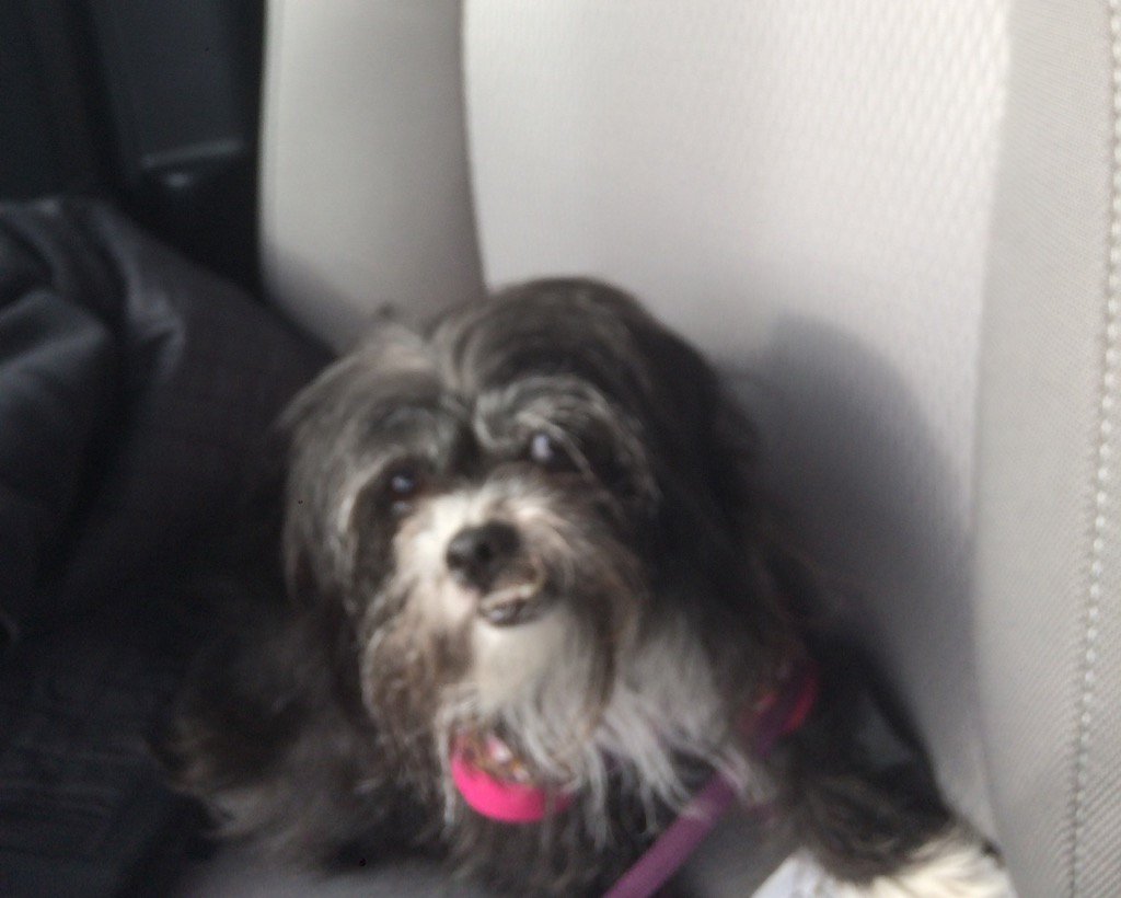 catherine havemann tweet media