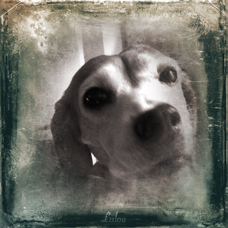 Jfish59's tweet photo. I made my #MercyStreetPBS tintype portrait. Make yours: https://t.co/pXQycXRdk1 #TintypeMe Tune in Sundays 10/9c https://t.co/DGhMFvGwyC
