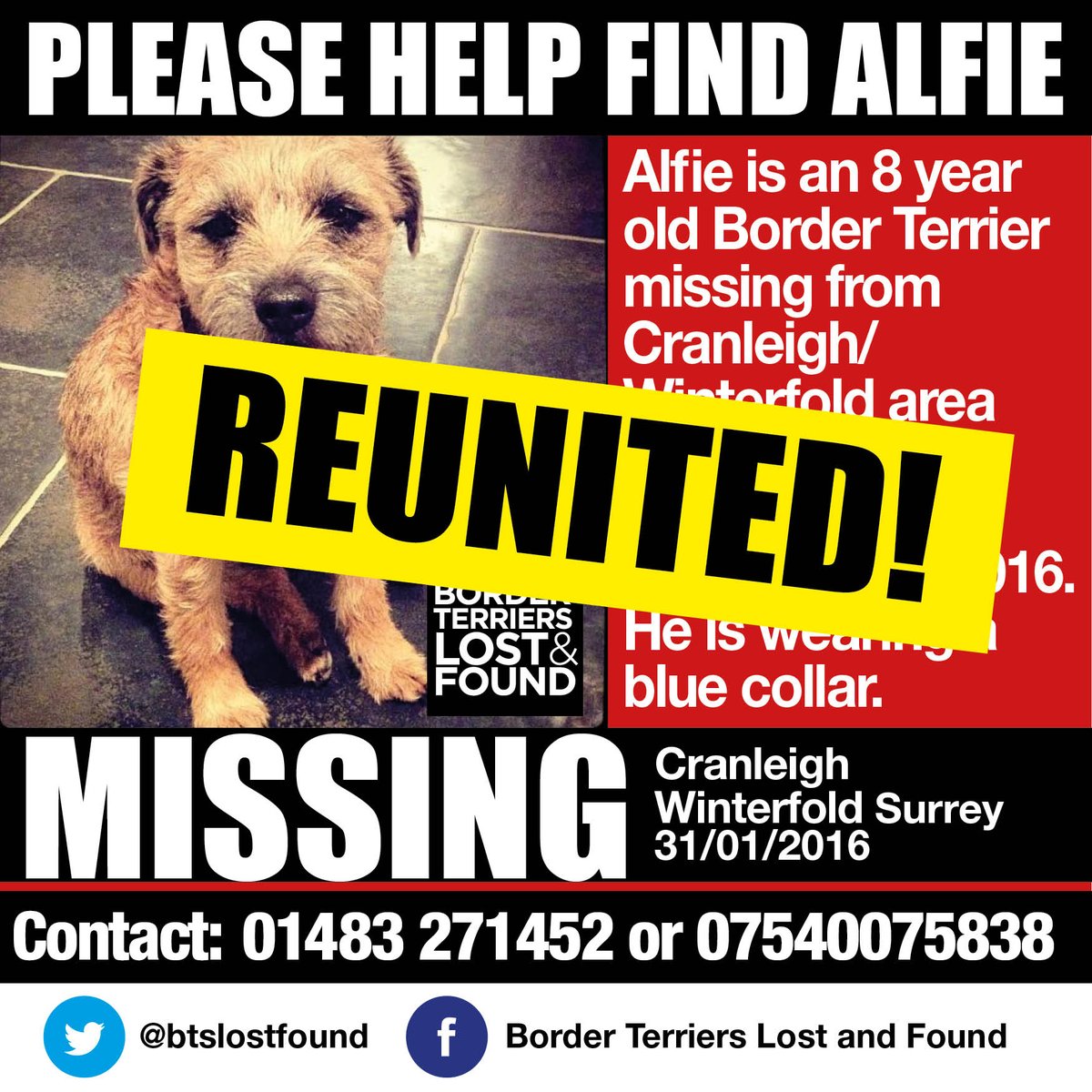 #BTPosse And another one reunited! Found down a badger hole! Thanks for All the retweets!