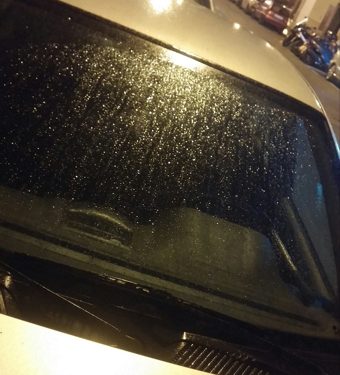 XaviFullana's tweet photo. Noticia! Noticia! Està ploguent a #Palma #plouinofasol #jatocava #lluvia #raining 😜 https://t.co/oS082cvwyW
