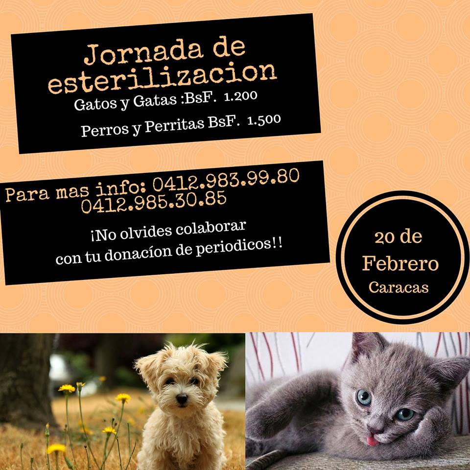 Jornada d Esterilización d perr@s y gat@s el sabado, 20 d febrero, 8 am, estación <a href="/BomberosUCV/">.</a> #UCV